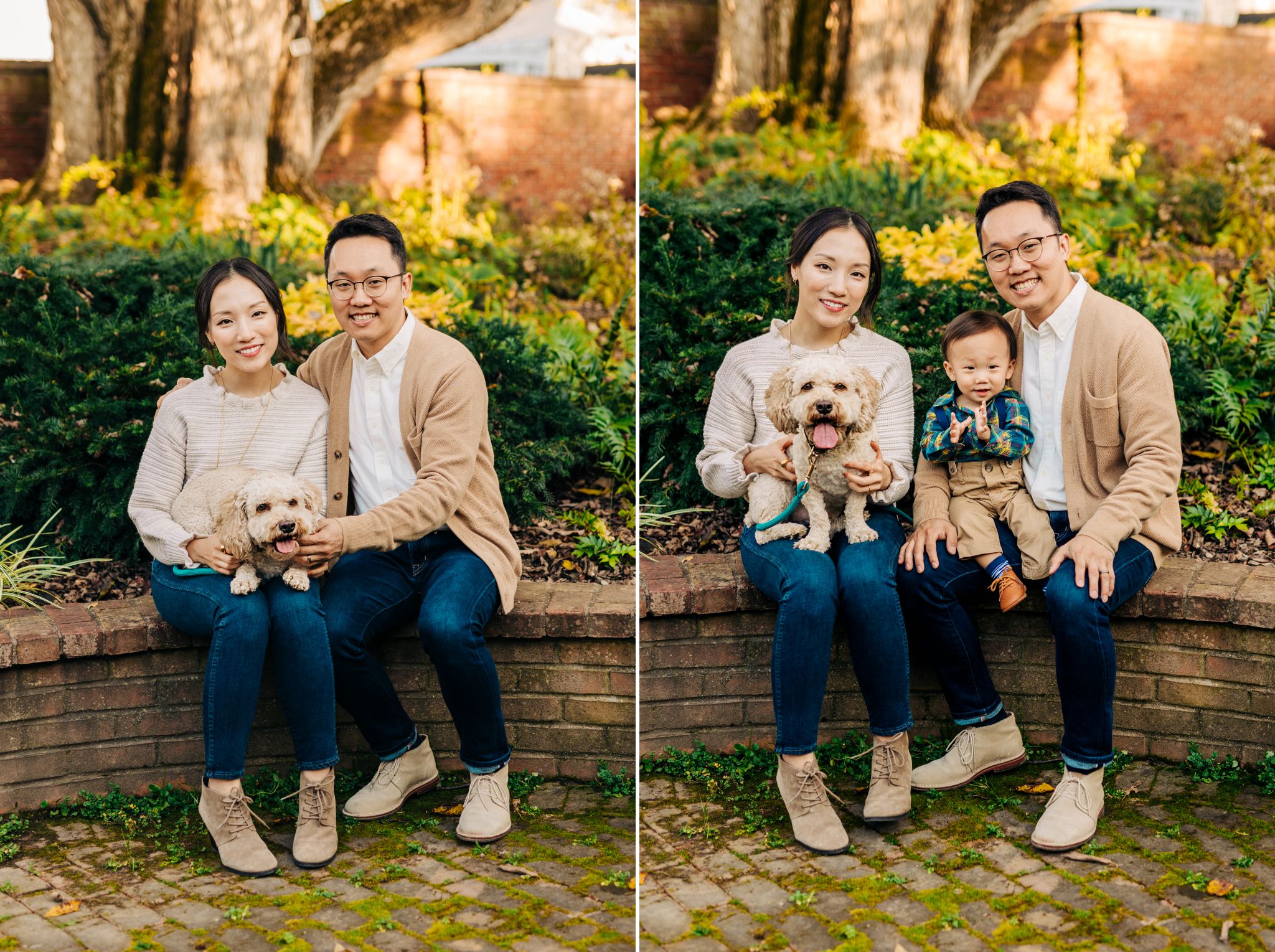 young family and dog posing for family session at River Farm in Alexandria, VA