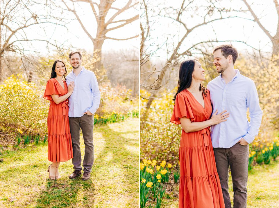 a couple posing together in a daffodil field at Brookside Gardens in Wheaton, MD